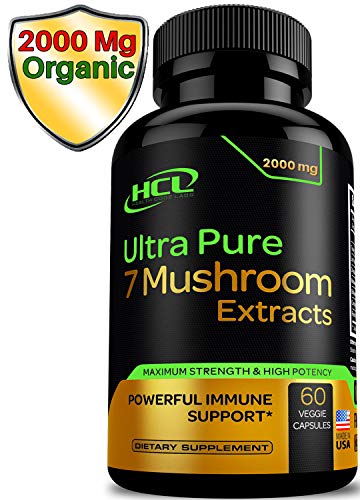  Organic Mushroom Supplement Extracts – ...